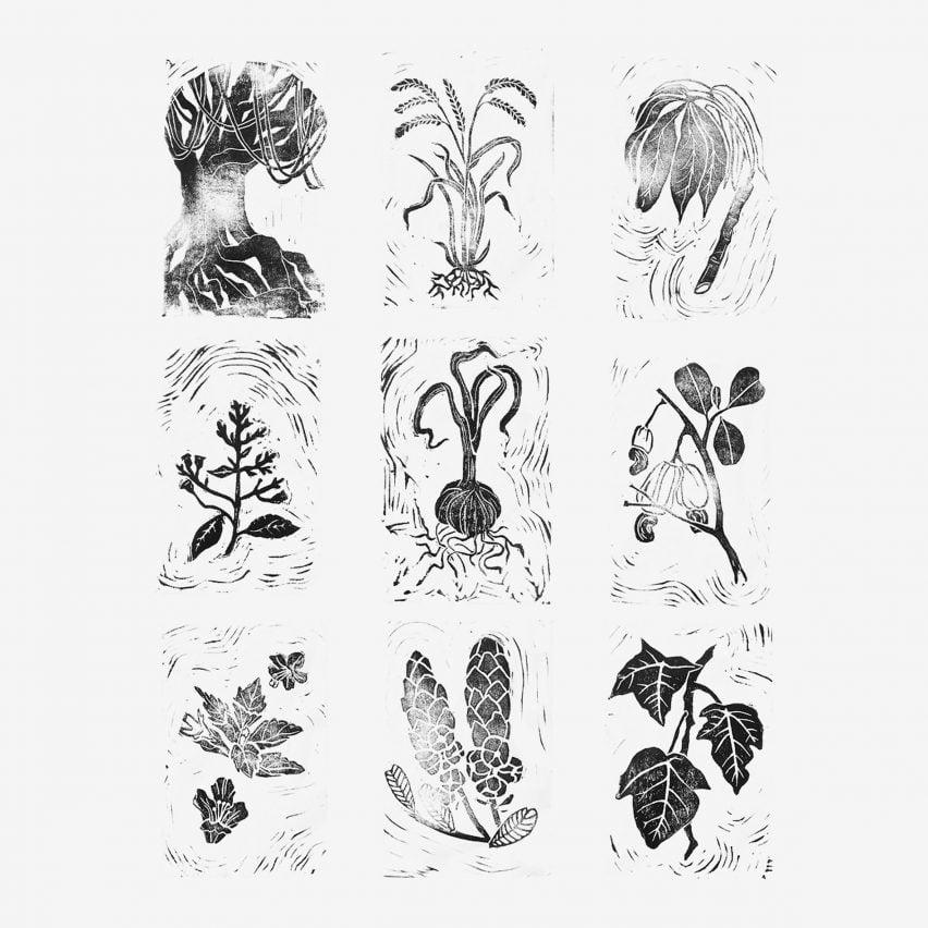 A series of nine illustrations of leaves and plants in tones of grey and black, against a white backdrop.