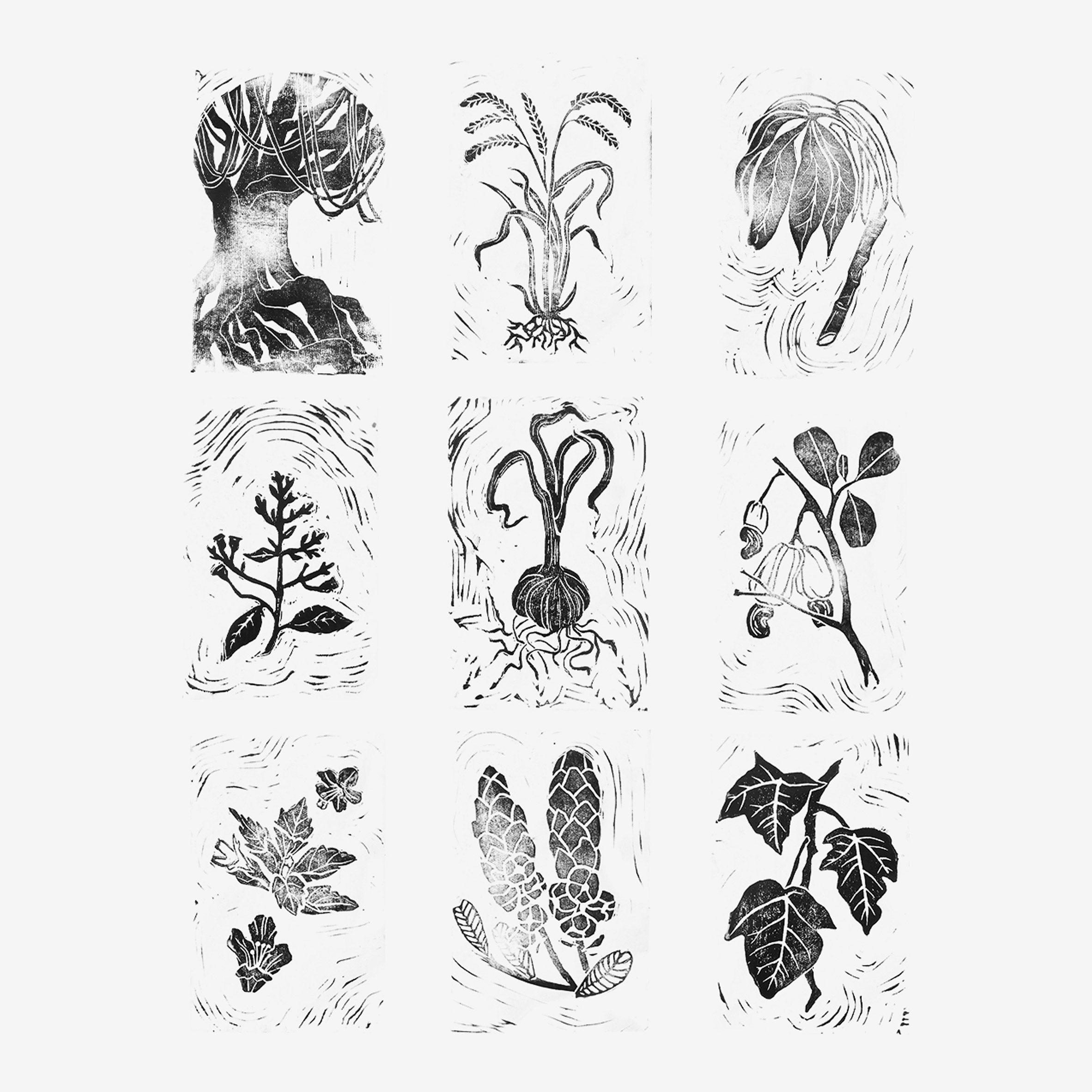 A series of nine illustrations of leaves and plants in tones of grey and black, against a white backdrop.