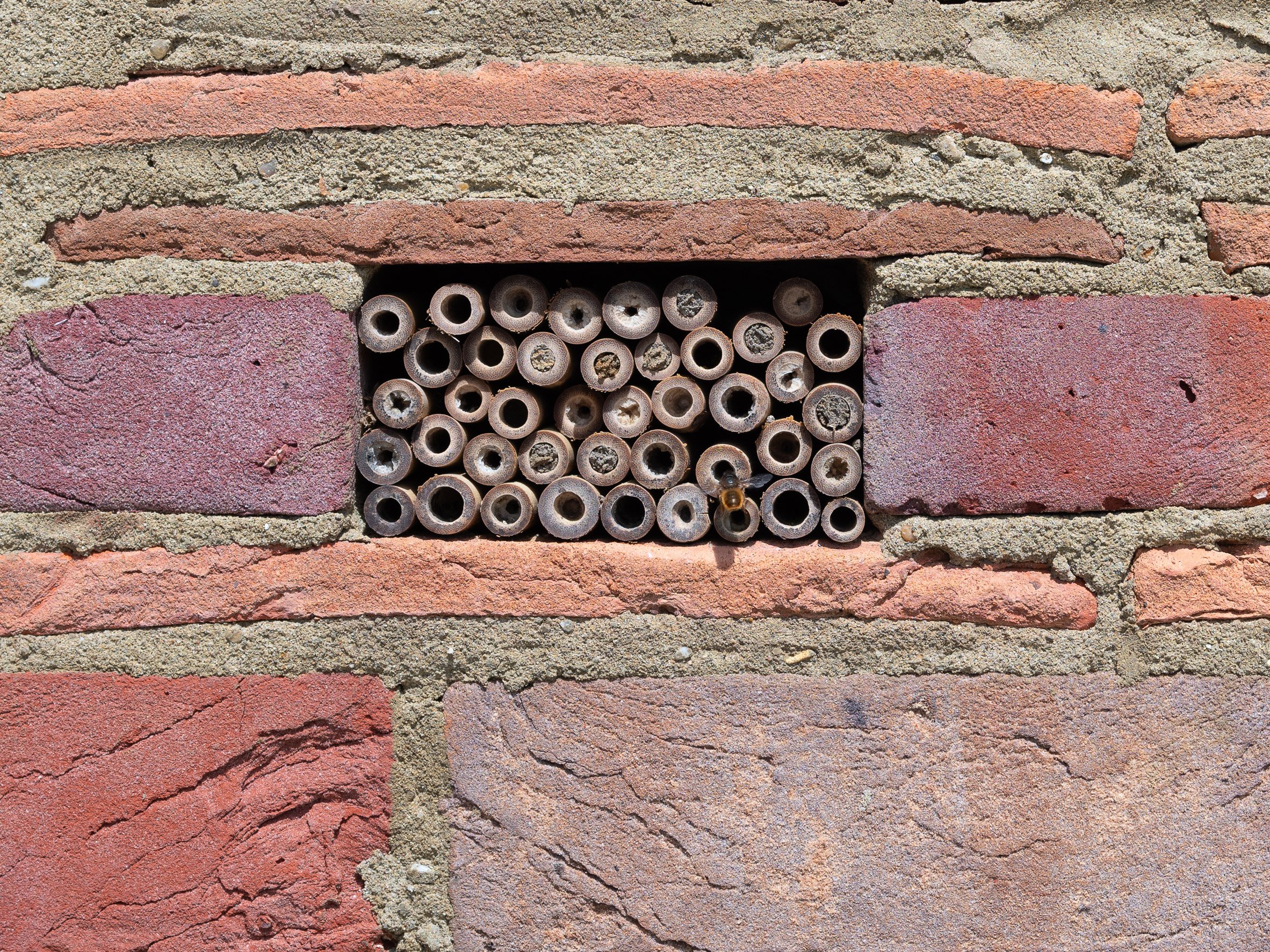 Bee hotel