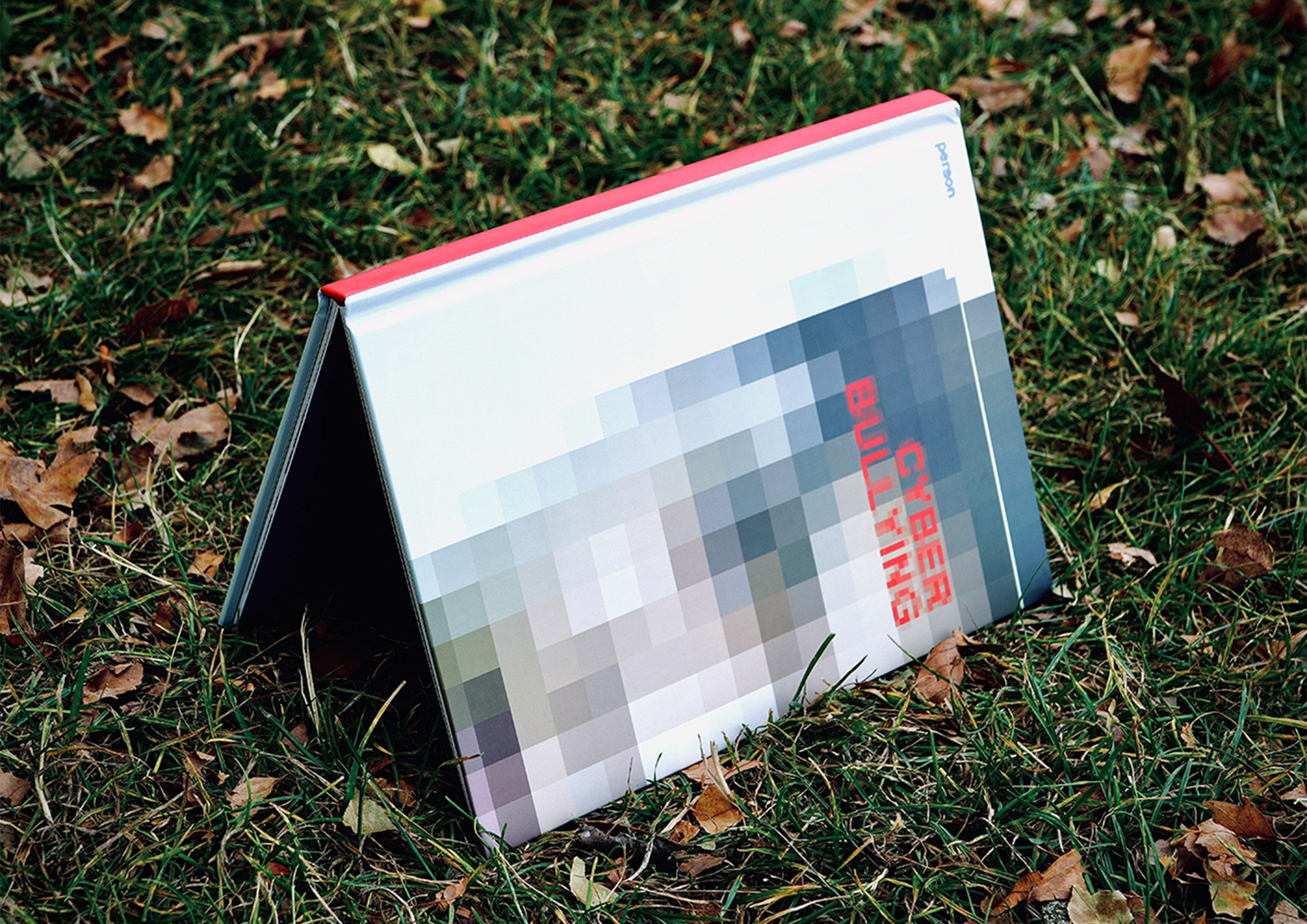 A photograph of an upside down book in tones of blue, grey and red on top of green grass.