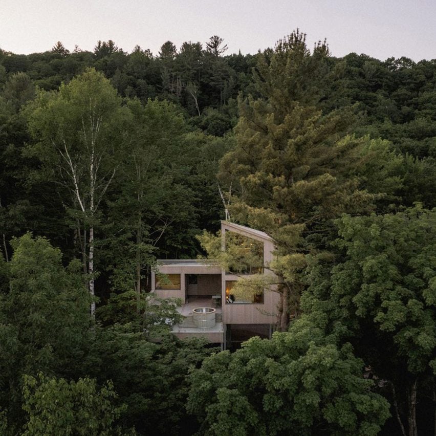 Maison isolée dans une forêt profonde