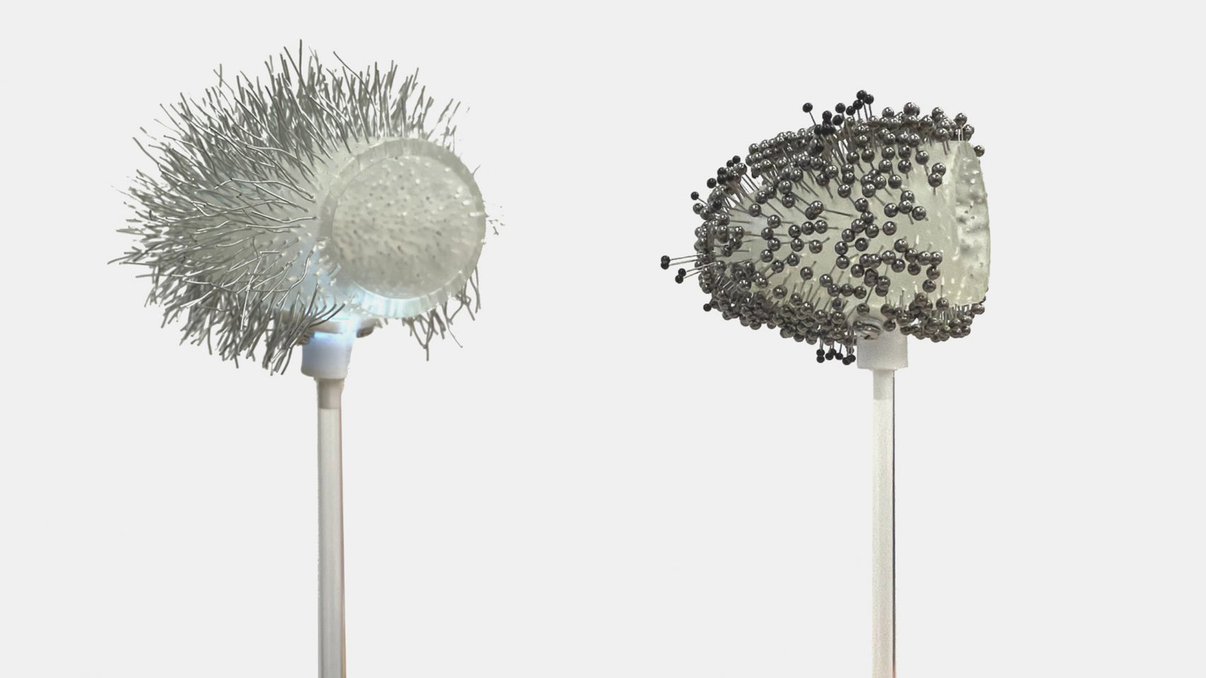 A visualisation of two abstract images, showing grey stems with circular forms at their top. One has dark grey spherical forms coming out of it and the other has linear grey forms coming out from it. They are placed against a grey backdrop.