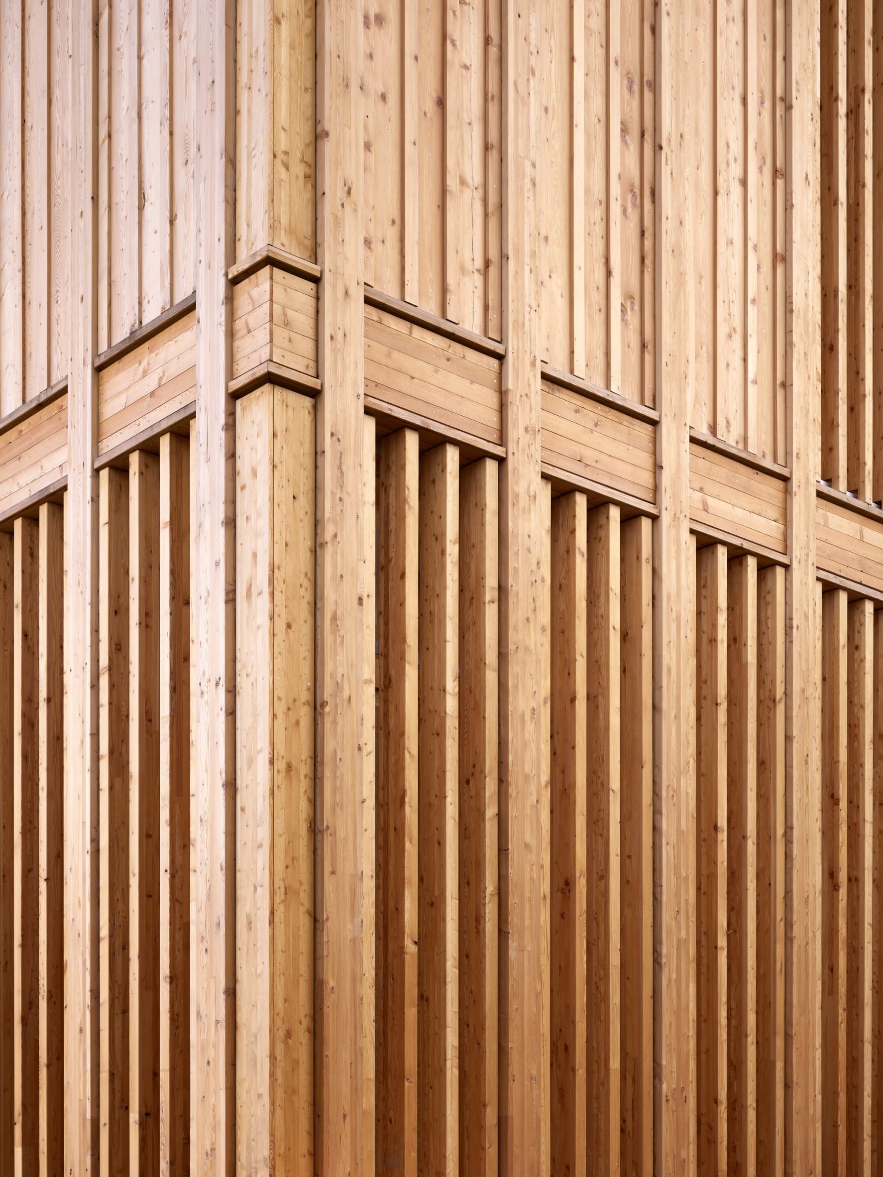 Timber cladding on a sports hall