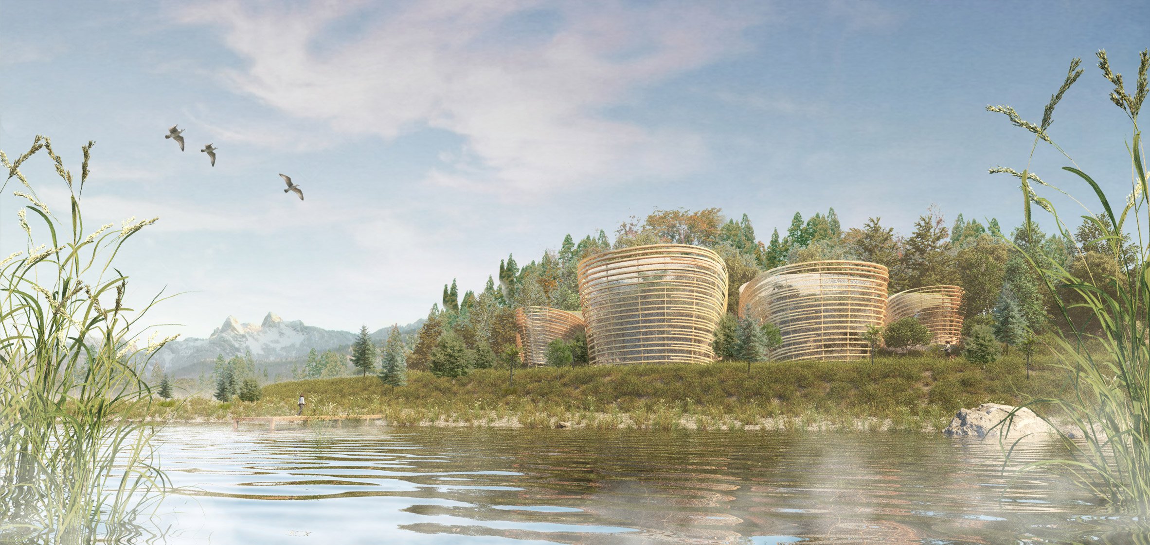 A visualisation of four wooden circular building structures in tones of brown, on a waterfront, surrounded by greenery and a blue sky above.