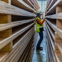 Photo of person in timber warehouse