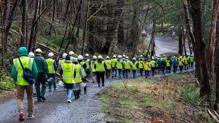 Photo of people in high-vis jackets in timber forrest