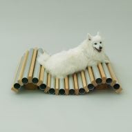 Architecture for Dogs in Milan