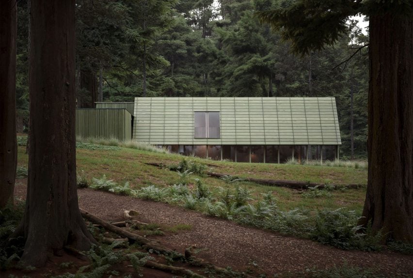 A photograph of a building in tones of green in a green forest.