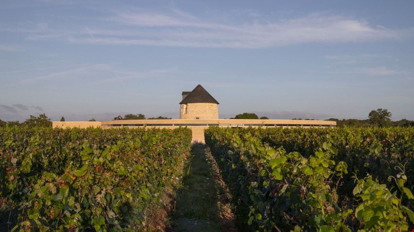 Wine Storehouse by Carmen Maurice Architecture