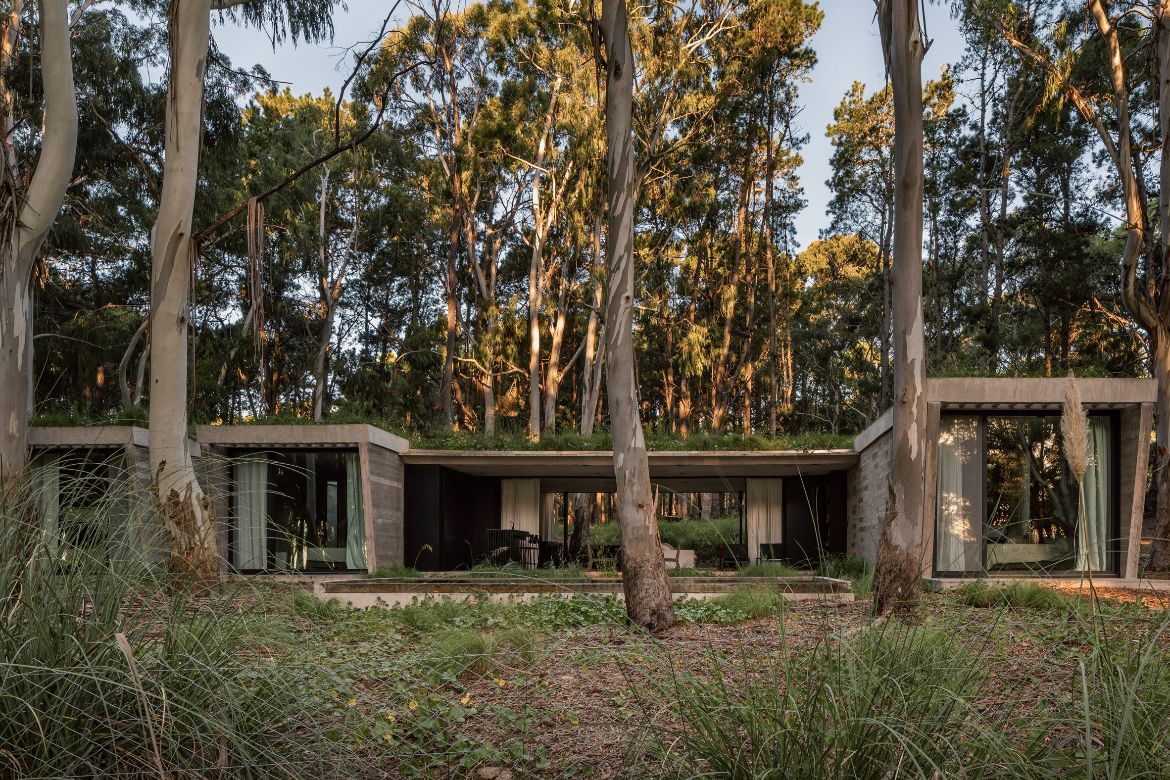 House in a forest