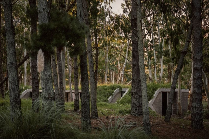 House in a forest