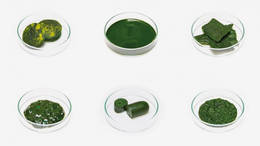 A photograph displaying nine glass dishes arranged in a grid like format with different green foods in each of them, against a white backdrop.