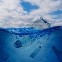 Photo of marine plastic pollution used to illustrate news about cotton and squid-bone sponge used to soak of microplastics by the universities of Wuhan and Guangxi