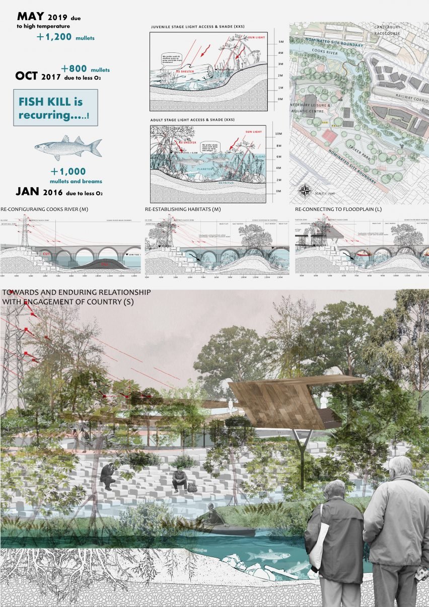 A detailed plan, map and visualisation of solutions to increase sealife in a river.