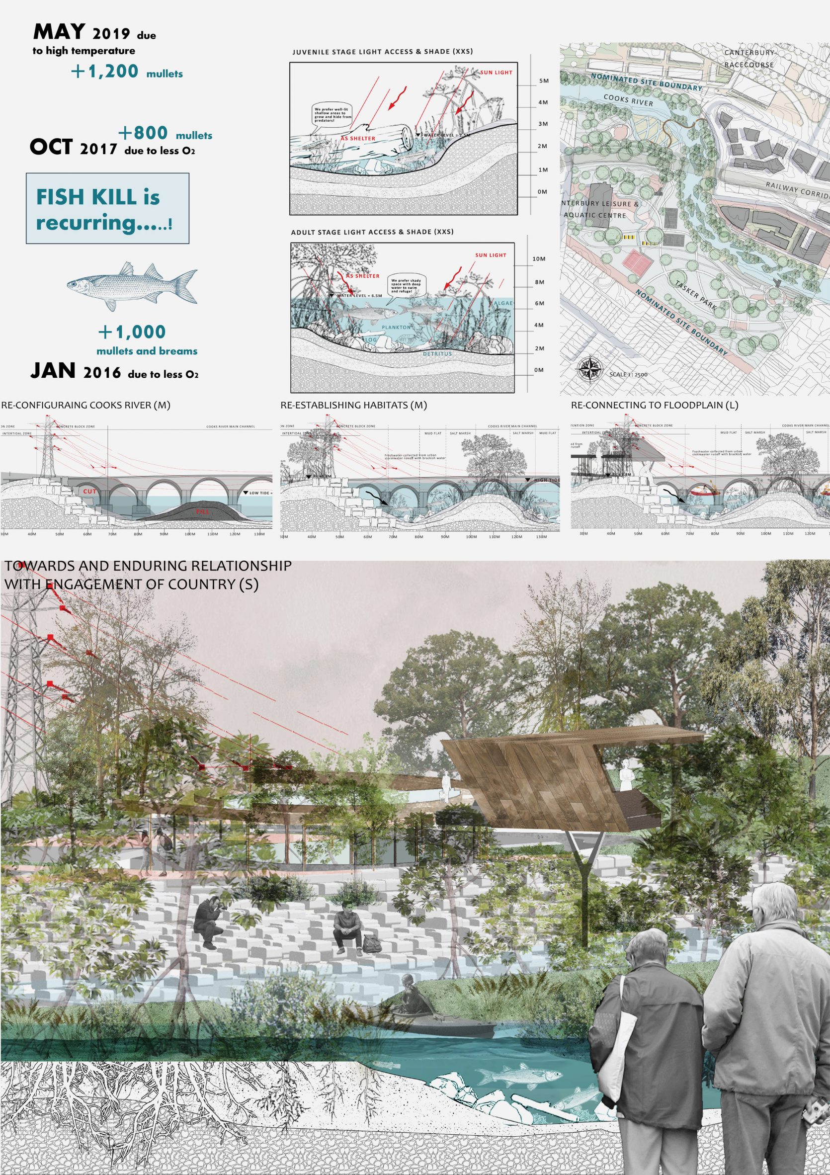 A detailed plan, map and visualisation of solutions to increase sealife in a river.