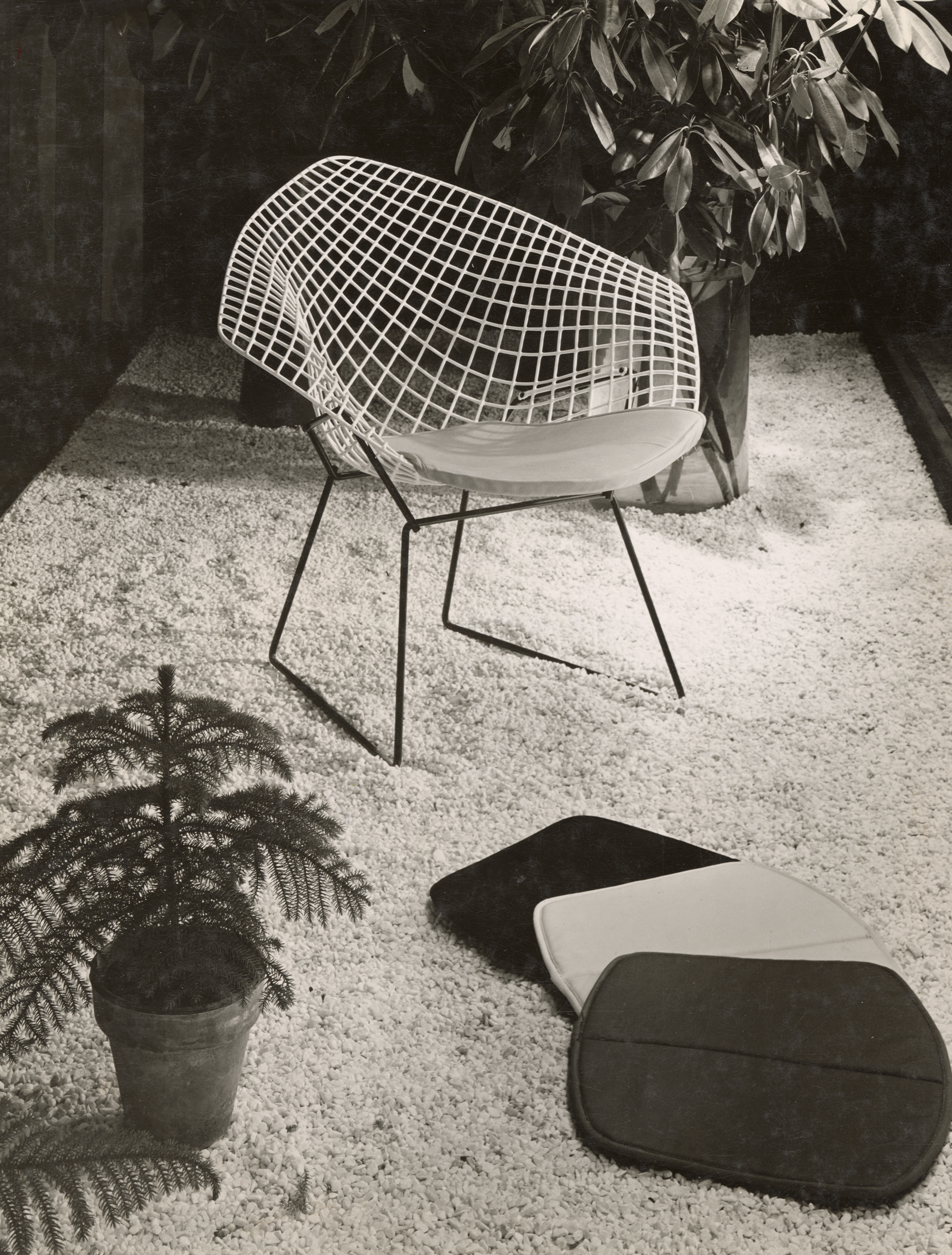 Archival image of Harry Bertoia's Diamond Chair