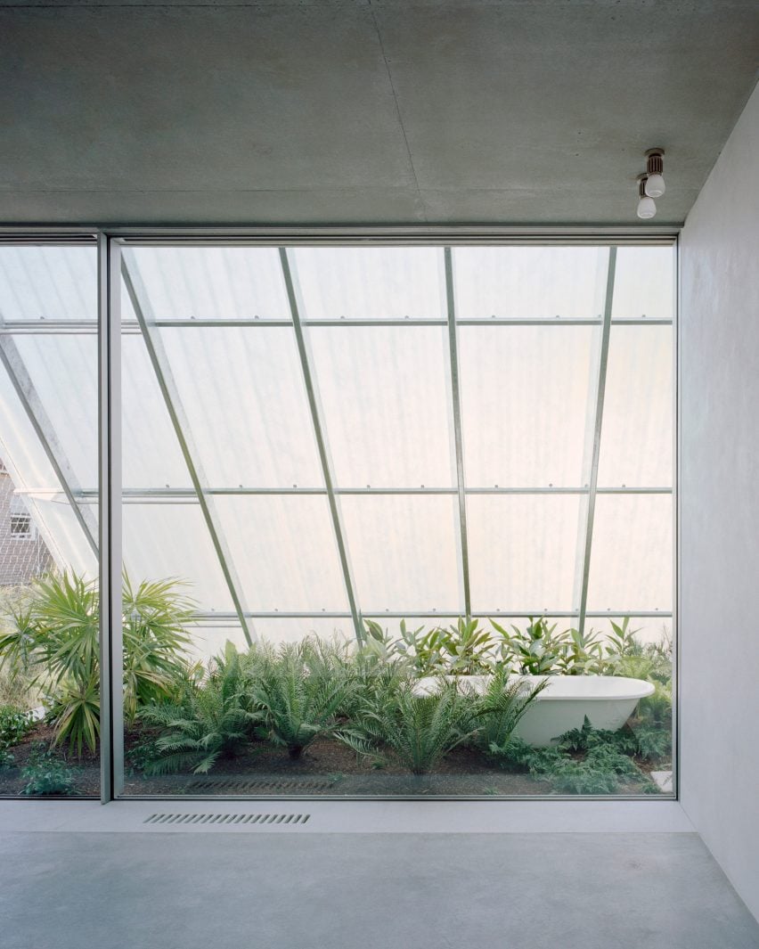 Roof garden at Sydney home by Anthony Gill Architects