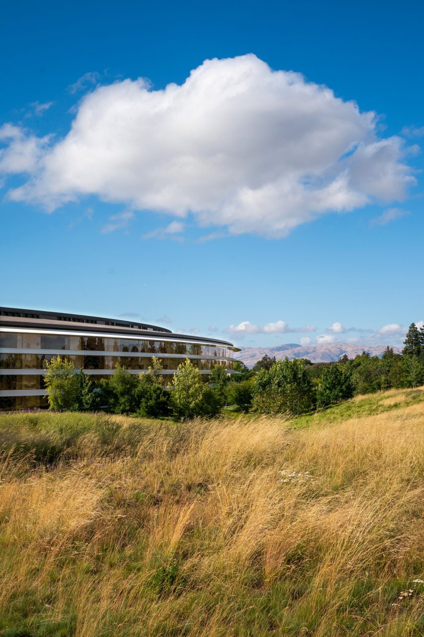 Grass surrounding Apple's HQ