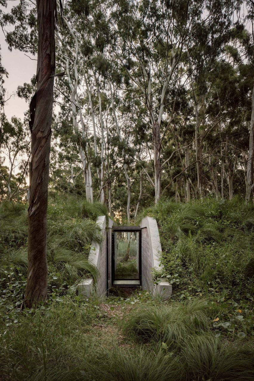 House with garden roof in forest