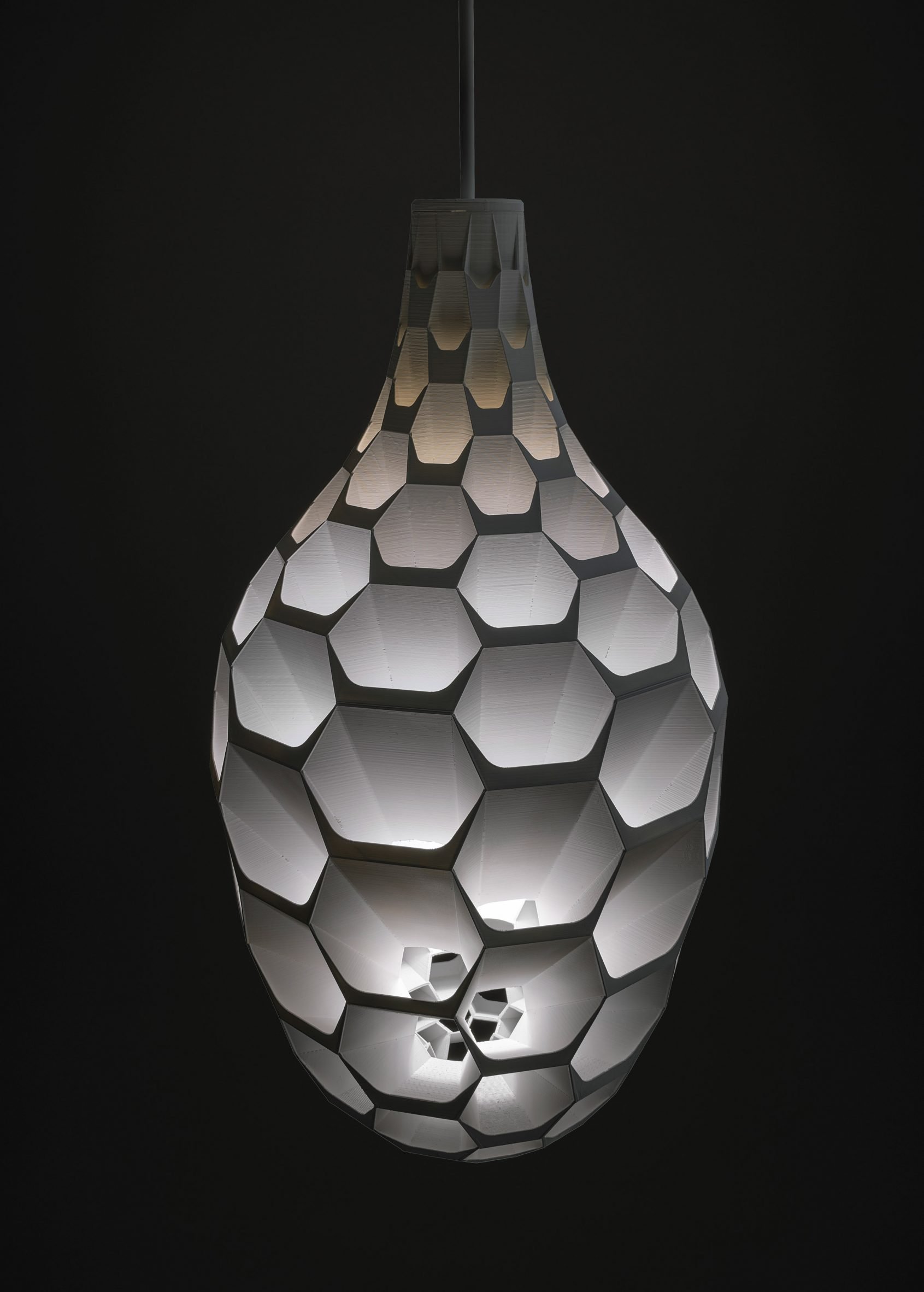 Hedron Pendant by Mickus Projects