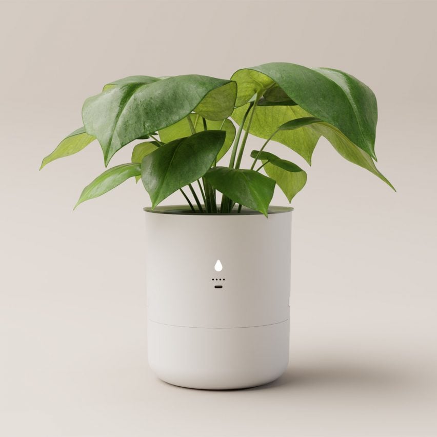 Leafy pod planter