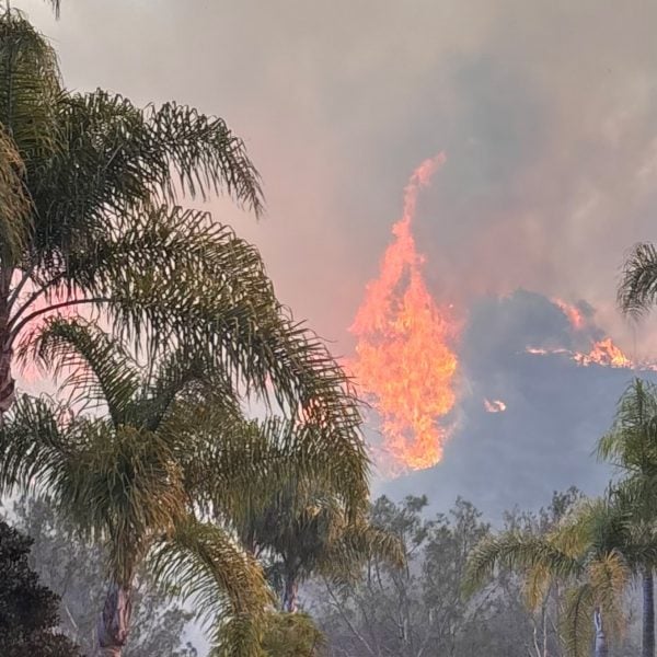 Eames House threatened as more than 1000 buildings destroyed in LA fire