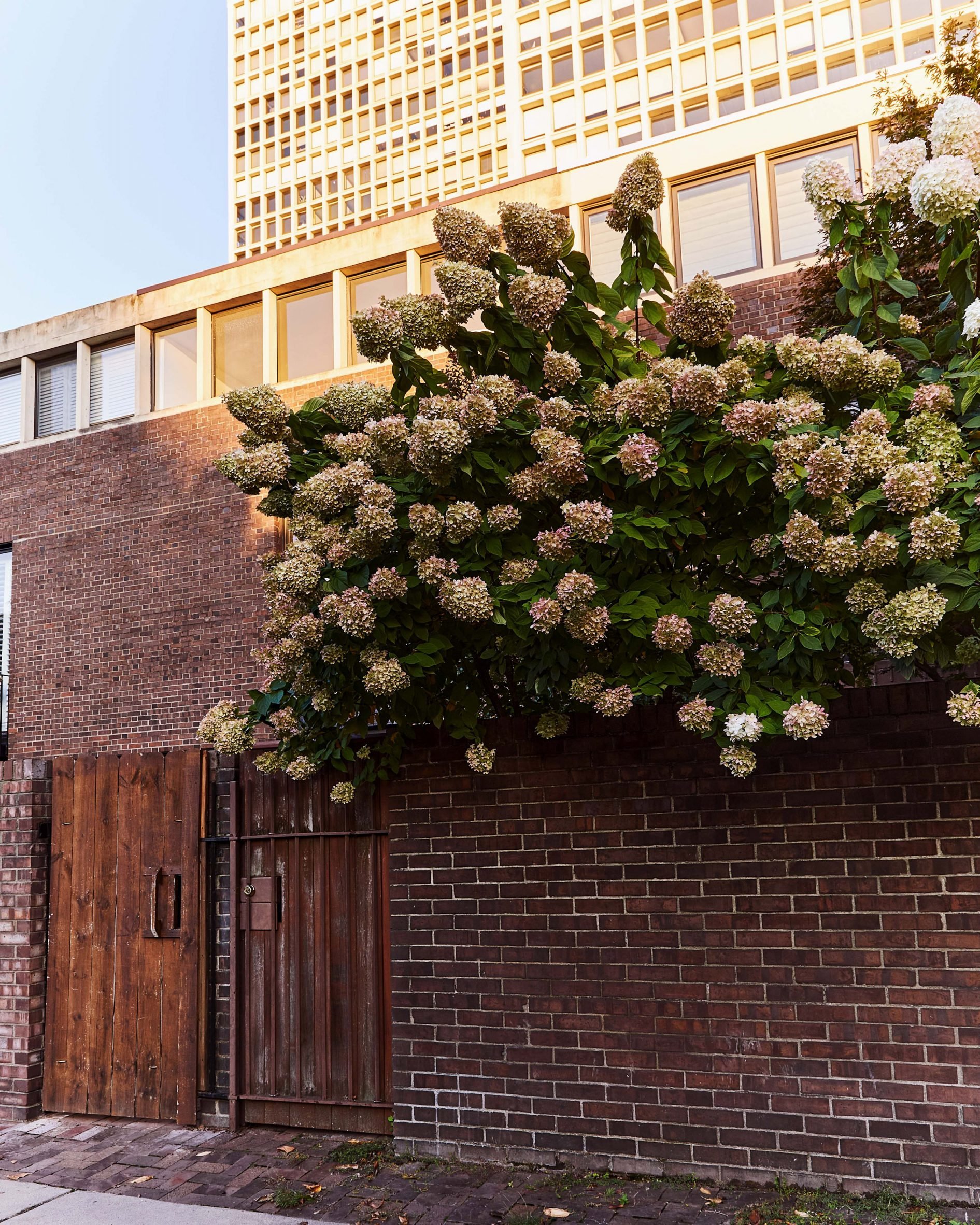 Exterior of Society Hill Residence by TBo