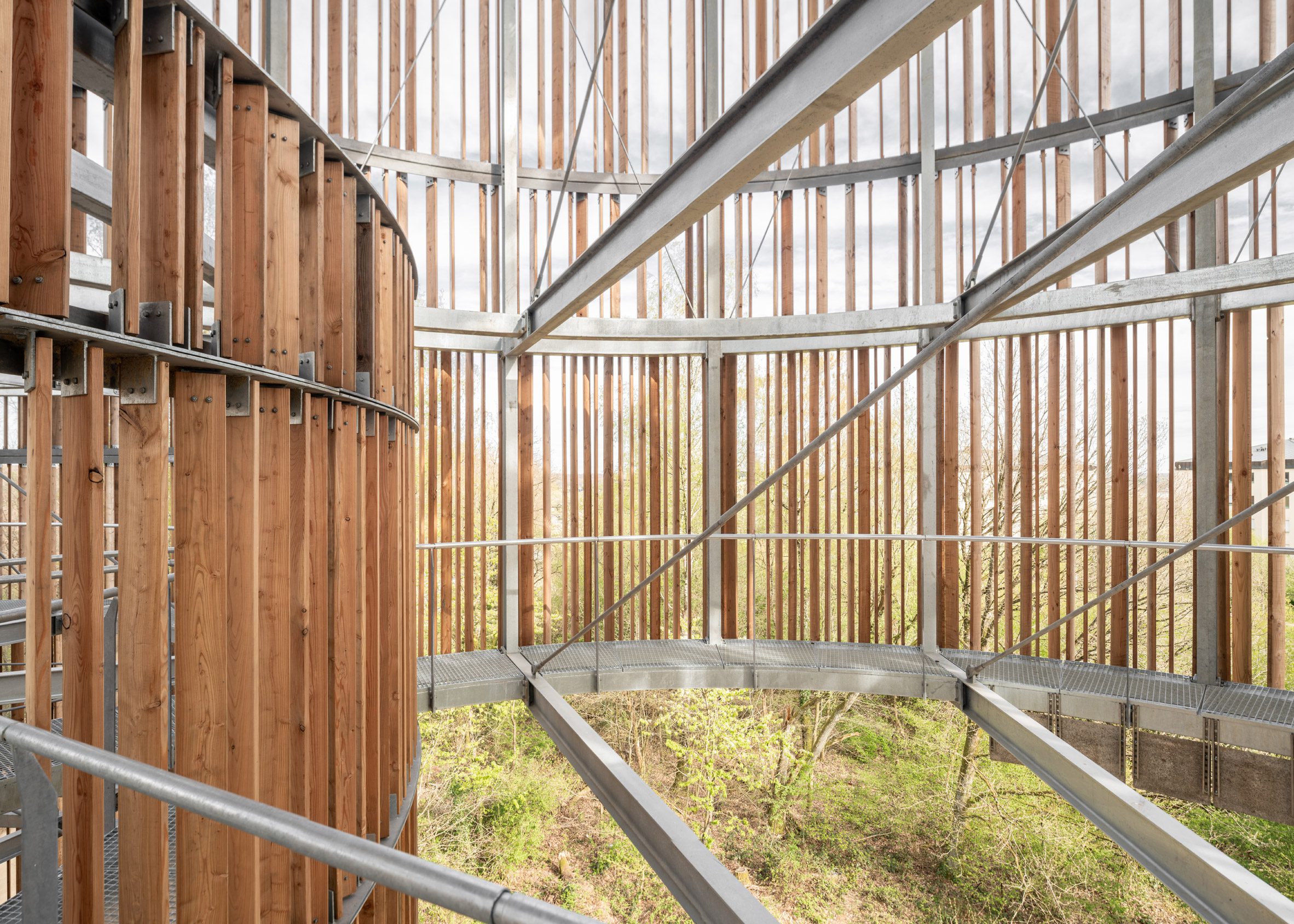 Walkways within the Bird and Mammal Shelter and Water Reservoir in Luxembourg