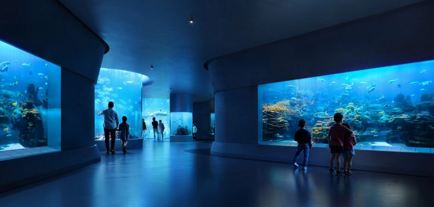 Render of aquarium at the Centre of Mediterranean Culture in Italy