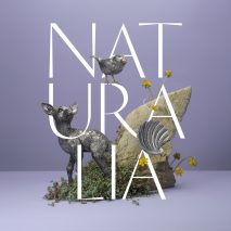 Photo of dried plants and metal design objects with text overlay