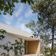 House of Gills by Beef Architekti
