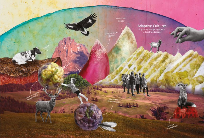 A image collage showing a pink backdrop with mountains and animals in tones of green, blue, purple and beige. There is also white text on the image labelling its different parts.