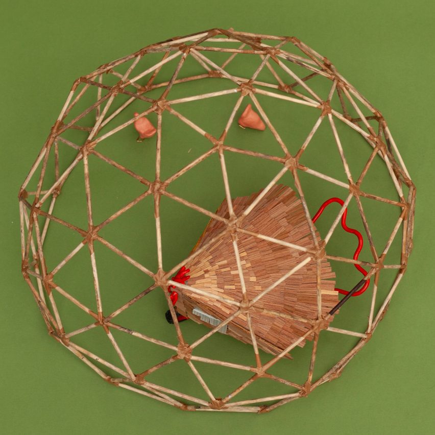 View of chicken coop enclosed by dome
