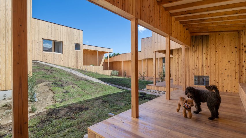 Courtyard at Necklace Villa by 1110 Office for Architecture