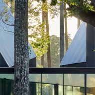 House in a forest