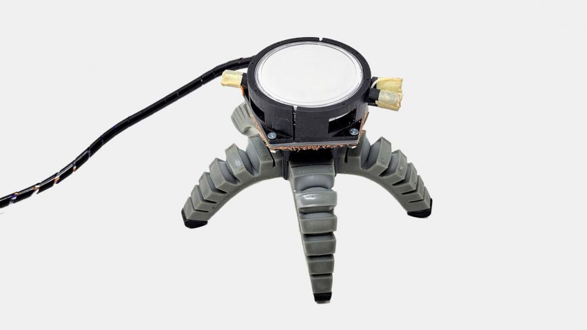 Mushroom-controlled robot