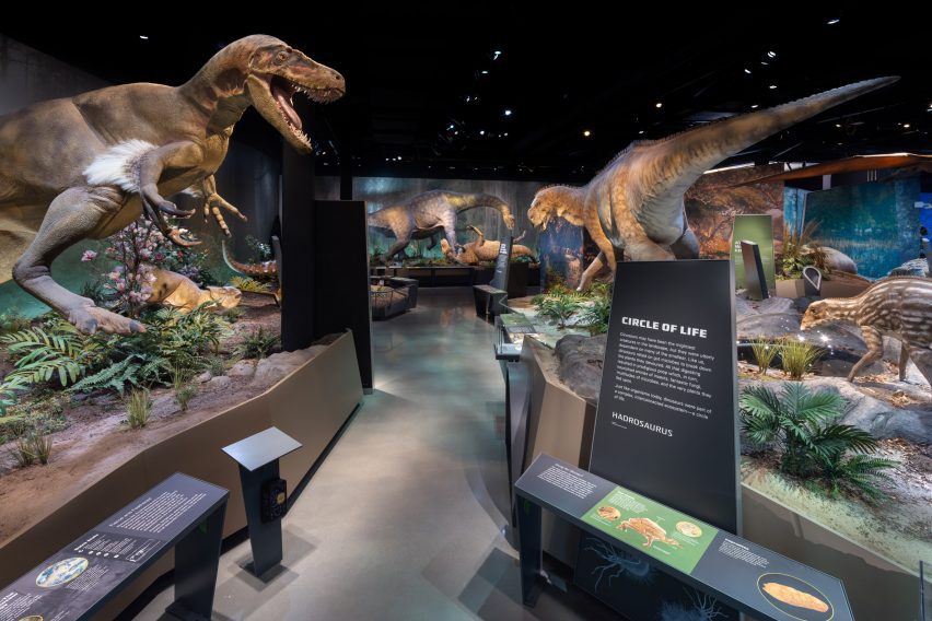 Dinosaur exhibits