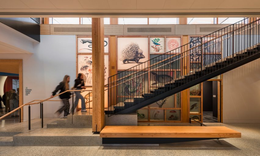 Interiors in natural history museum