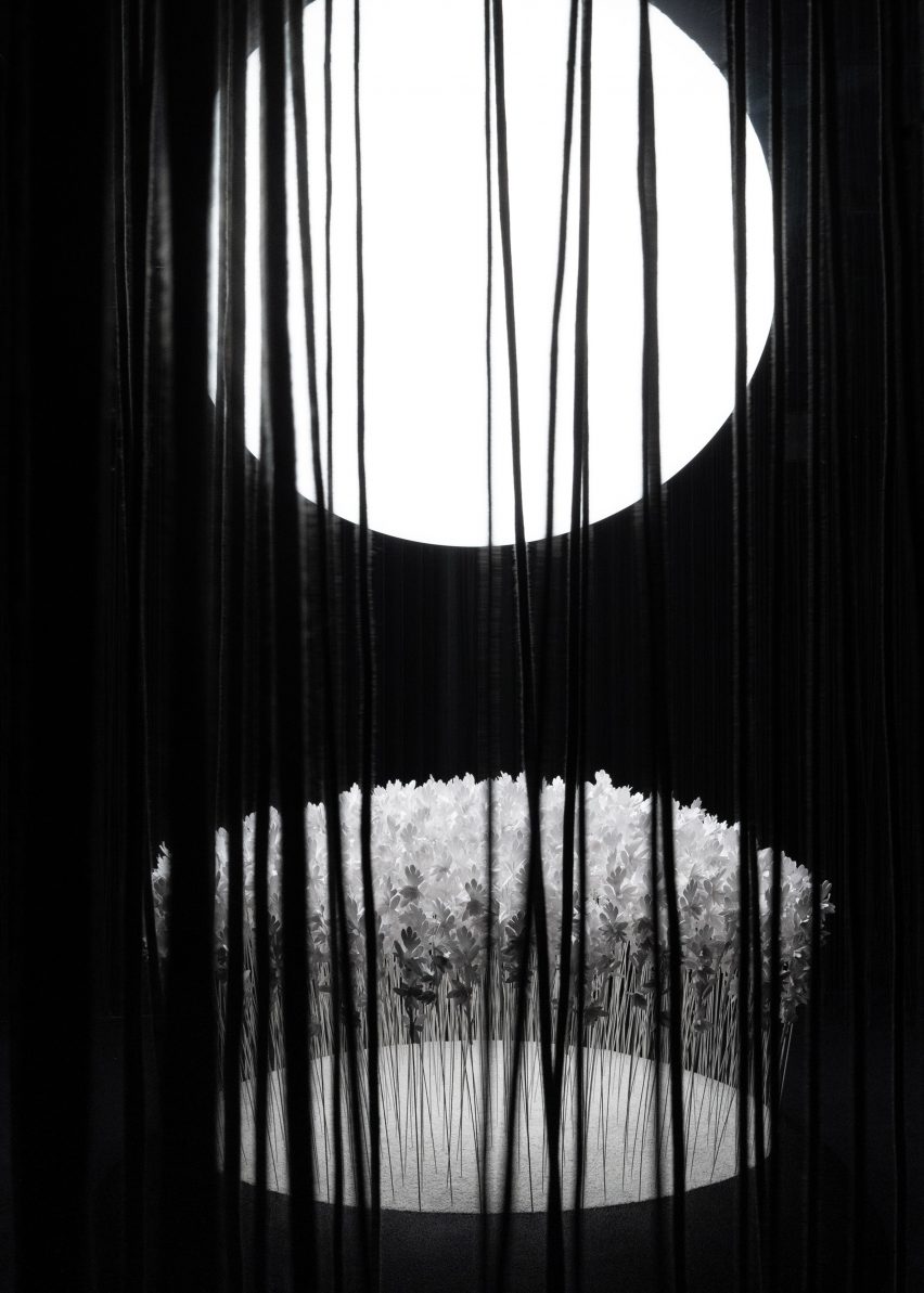Ropes hanging in front of orb