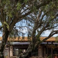 Restaurant and bar viewed through a tree