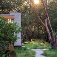 Swatt + Partners Moss Rock