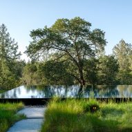 Swatt + Partners Moss Rock
