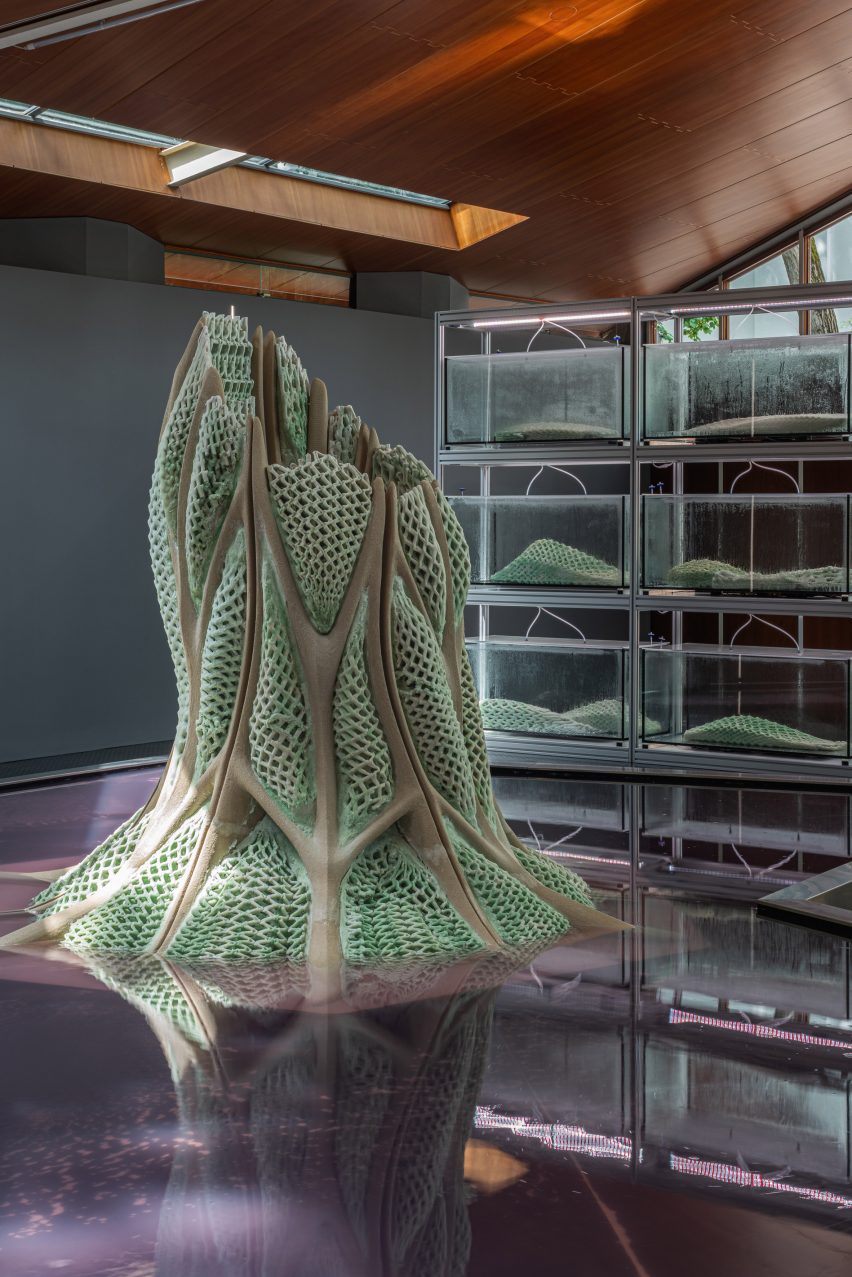 Picoplanktonics at the Venice Architecture Biennale