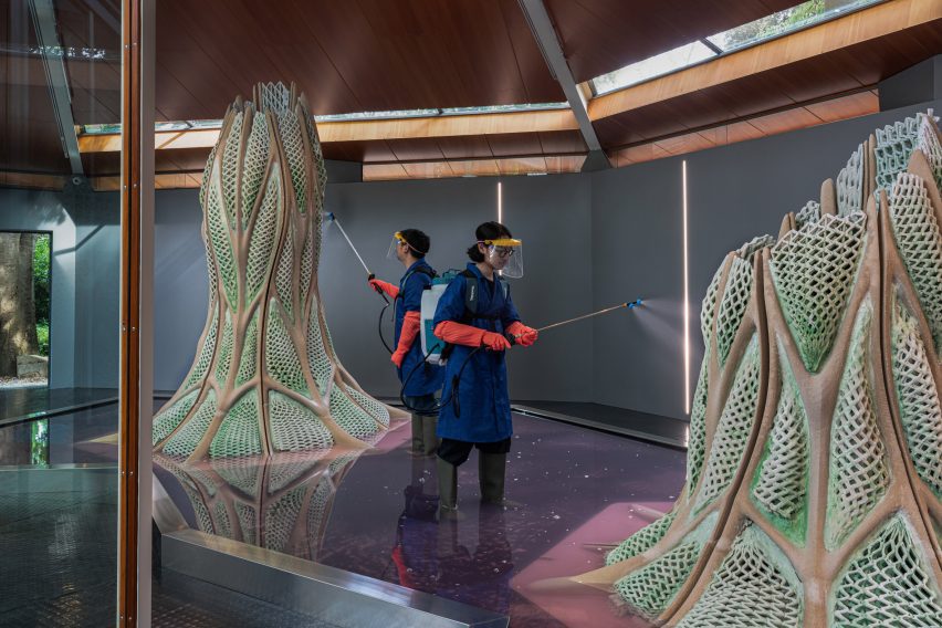 Canada Pavilion Picoplanktonics at the Venice Architecture Biennale