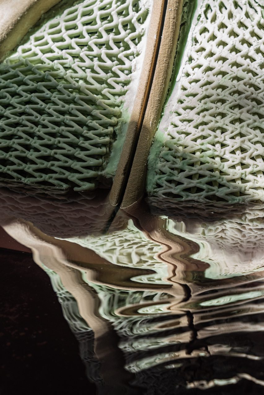 Lattice structure covered in bacteria