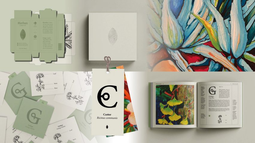 a moodboard displaying a healthcare project in tones of beige, green and blue