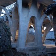 Mushroom Library by Kong Xiangwei Studio