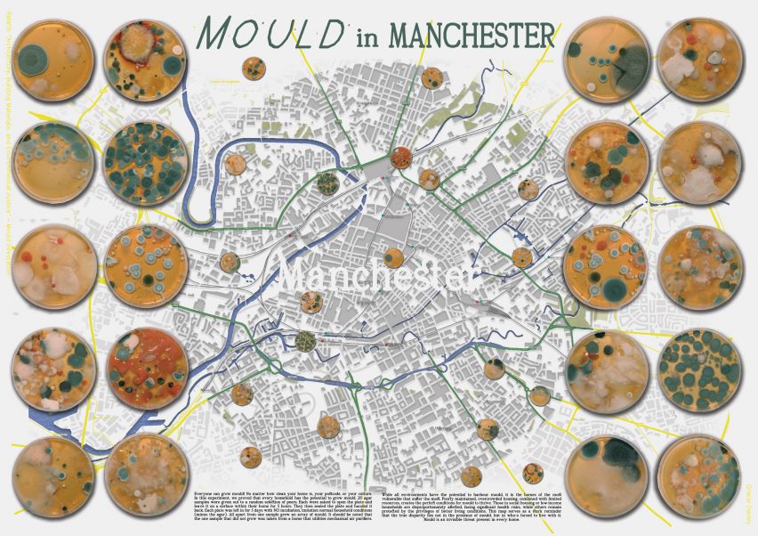 an inforgraphic displaying statistics on the amount of mould in manchester