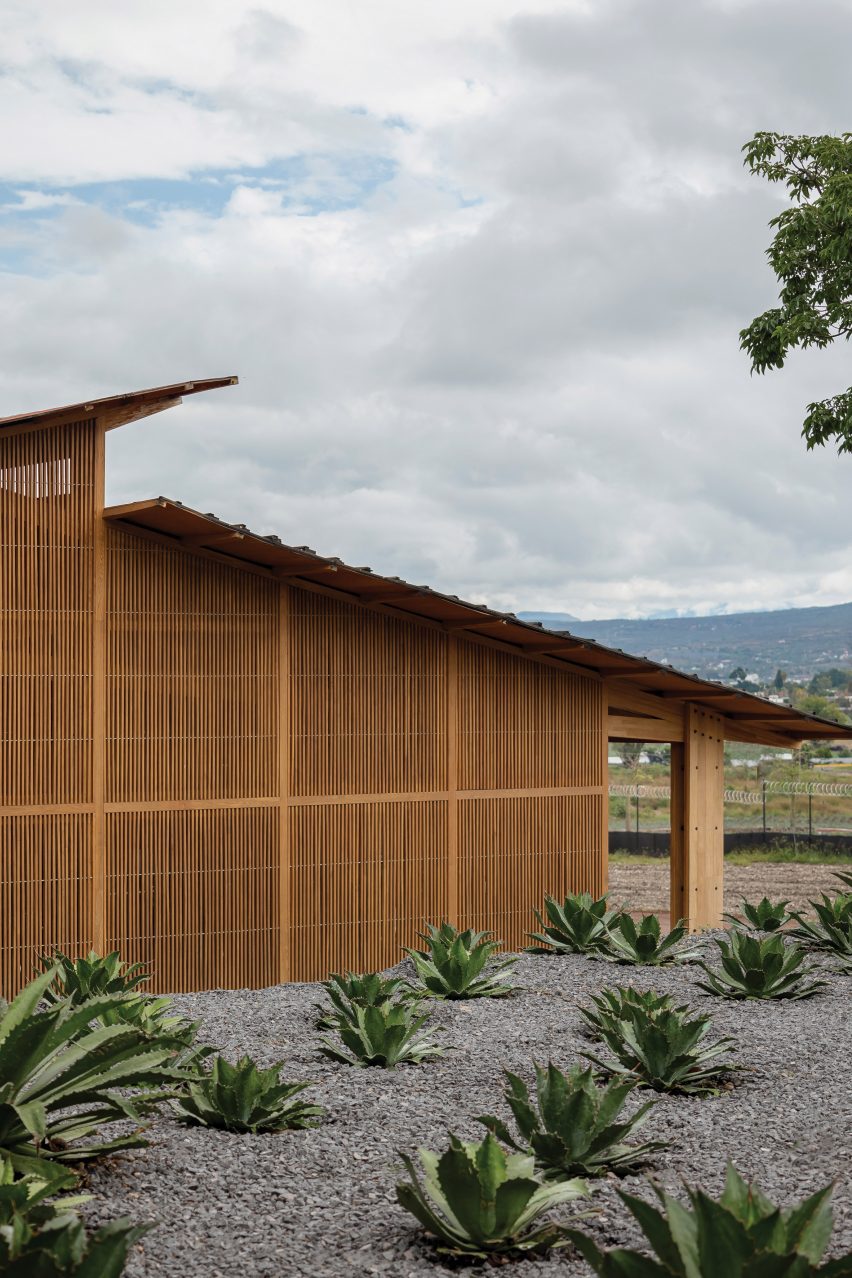 Building end with offset pitched roofs surrounded by agave plants