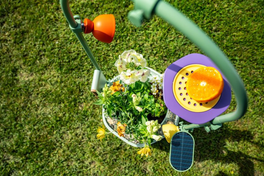 Photo of the Wonder Blocks planter and trellis viewed from above, showing a feeder holding half an orange, a solar panel, bee shelter and pot of flowers